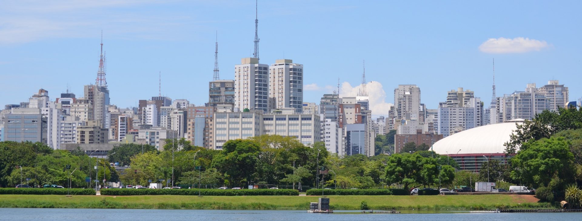 Dedetizadora em São Paulo
